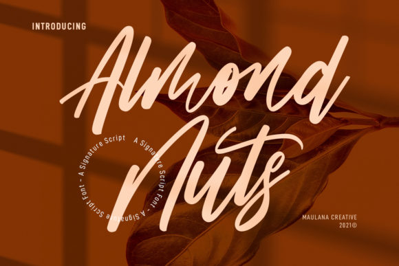 Almond Nuts: A Premium Script Font for Brand Identity