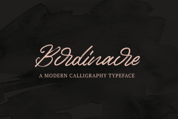 Birdinaire: A Vintage Script Font for Campaigns