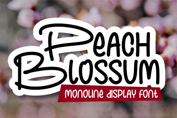 Peach Blossum: A Playful Handwritten Font for Small Business