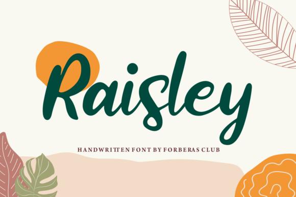 Raisley: A Real-World Designer Review