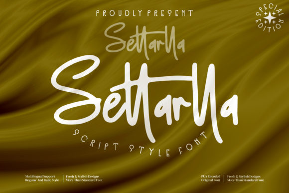 Settarlla: A Premium Script Font for Web Design